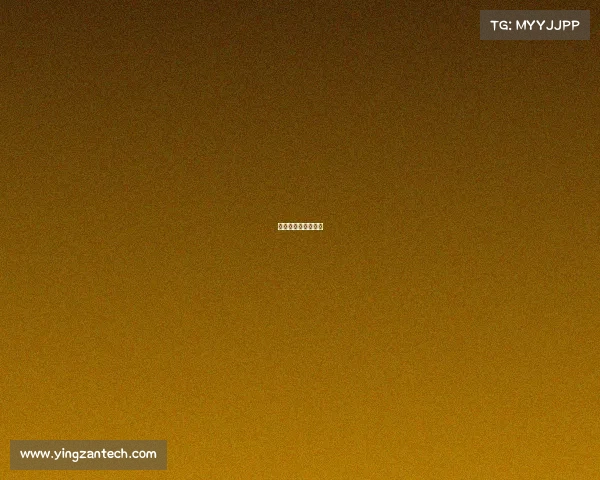 电竞国家队选手度百